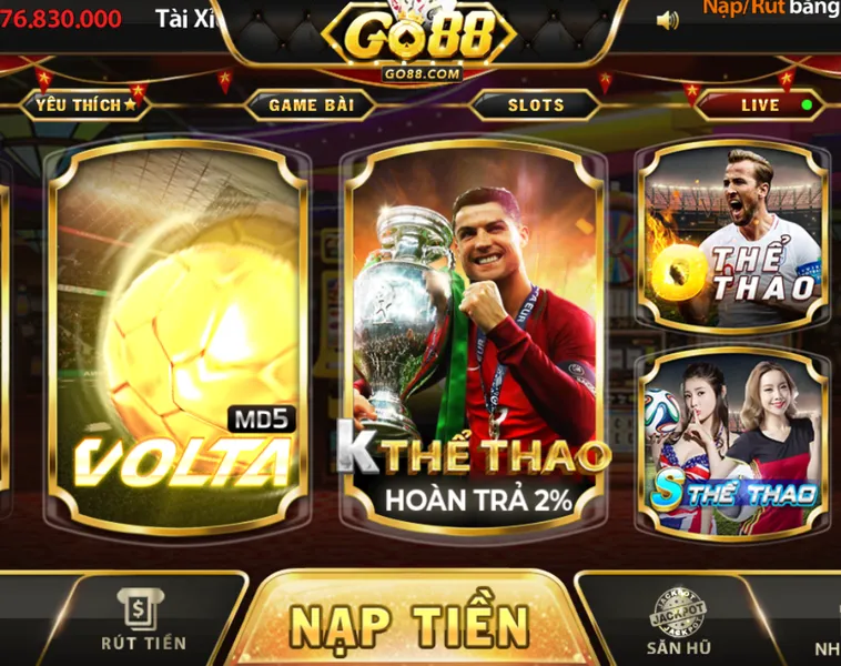 Top 5 Nhà Cái Về Thể Thao Uy Tín Dành Cho Người Hâm Mộ Bóng Đá